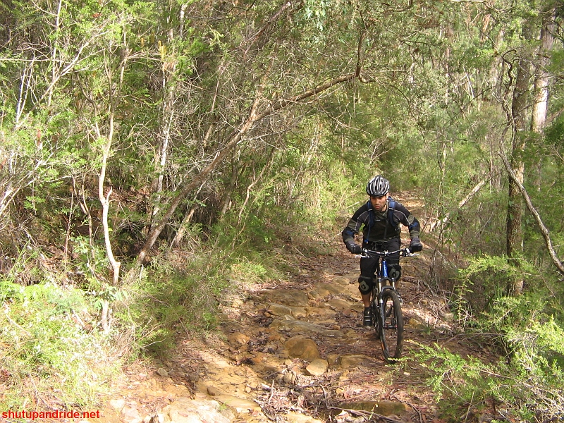 20090405-Mooney 157.jpg